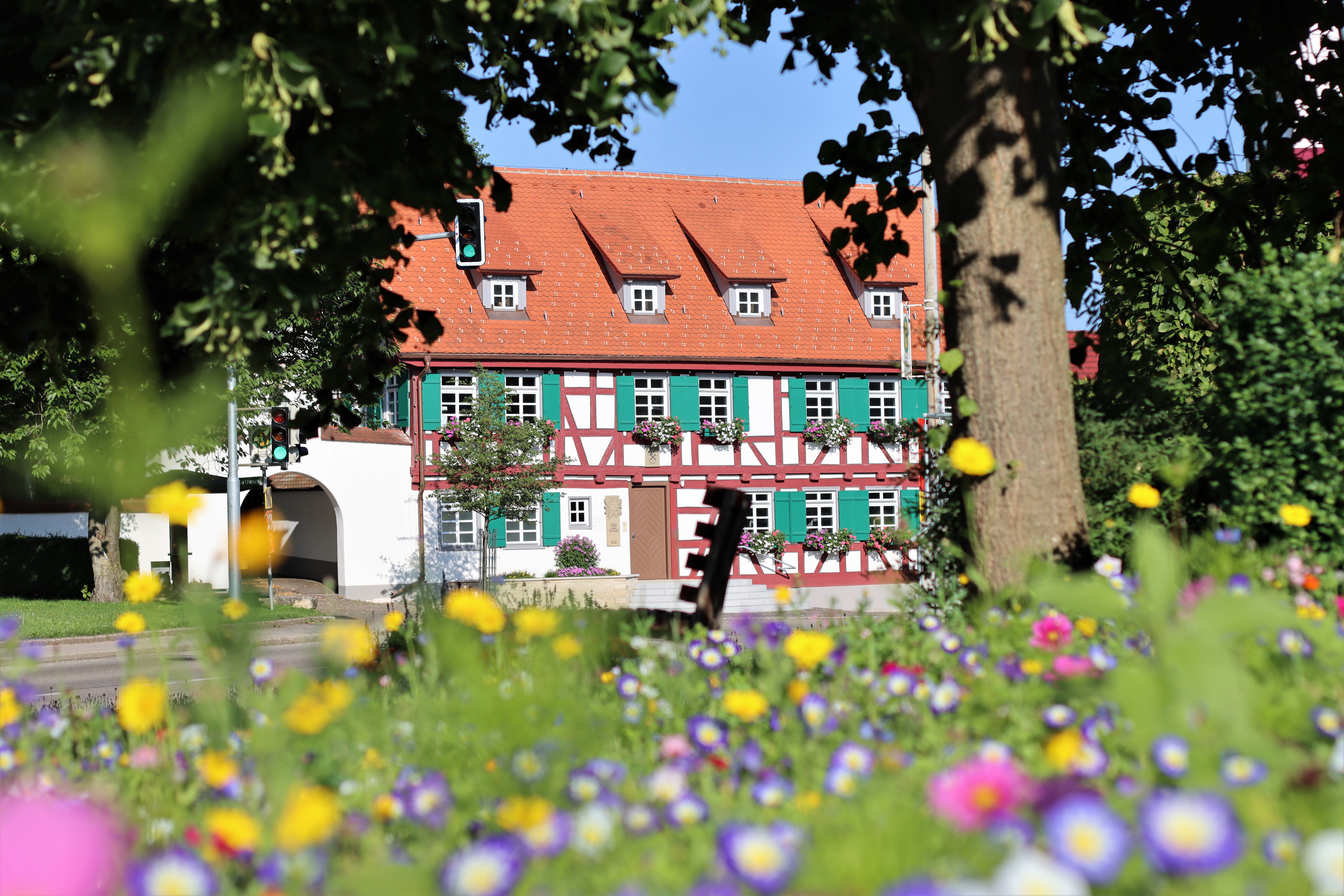 Blick auf Haus des Gastes hinter Blumenwiese
