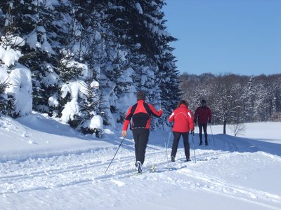 Skilangläufer auf Loipe